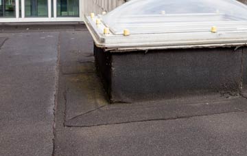 disadvantages of Marshalls Elm flat roofs