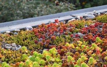 the cost of Marshalls Elm green roof installation