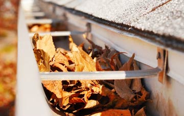 Marshalls Elm gutter cleaning companies