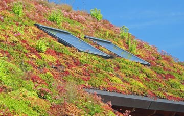 Marshalls Elm living roof systems