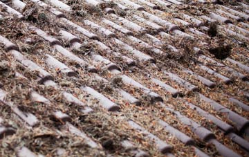 Marshalls Elm roof cleaning companies