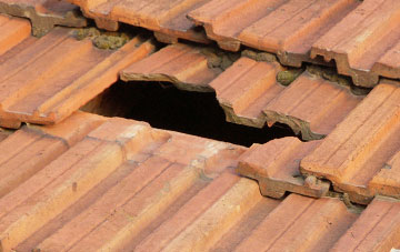 roof repair Marshalls Elm, Somerset