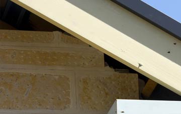 soffit repair Marshalls Elm