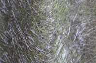 Marshalls Elm fibreglass roof work